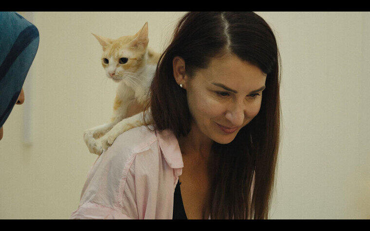 9/4(金)公開『猫たちと7000マイルの旅』劇場オリジナルドリンク販売決定！