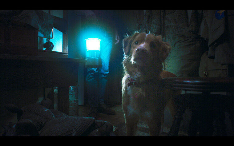  7/10(金)公開『GOOD BOY／グッド・ボーイ』入場者プレゼント 配布決定！