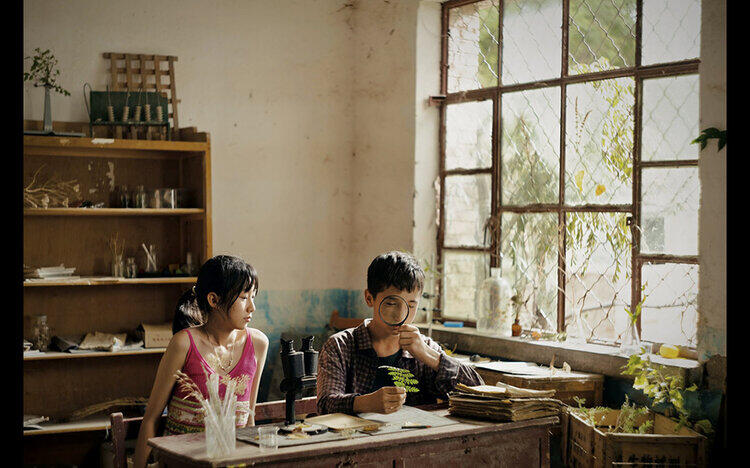 ボタニスト植物を愛する少年5 / 15 [金] 公開