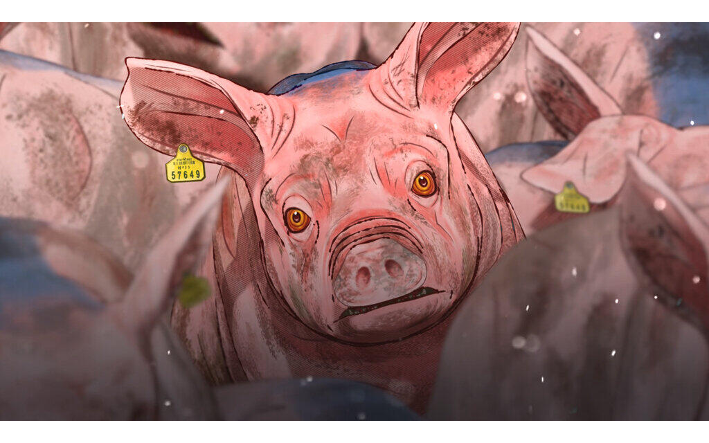 口蹄疫から生きのびた豚